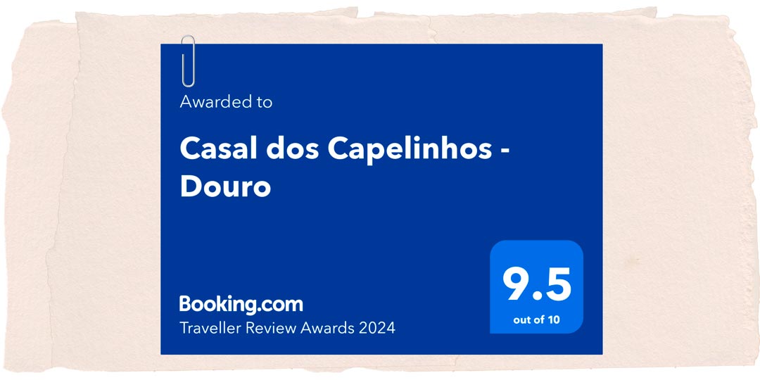 Gratidão pela Conquista: Booking Traveller Review Awards 2024
