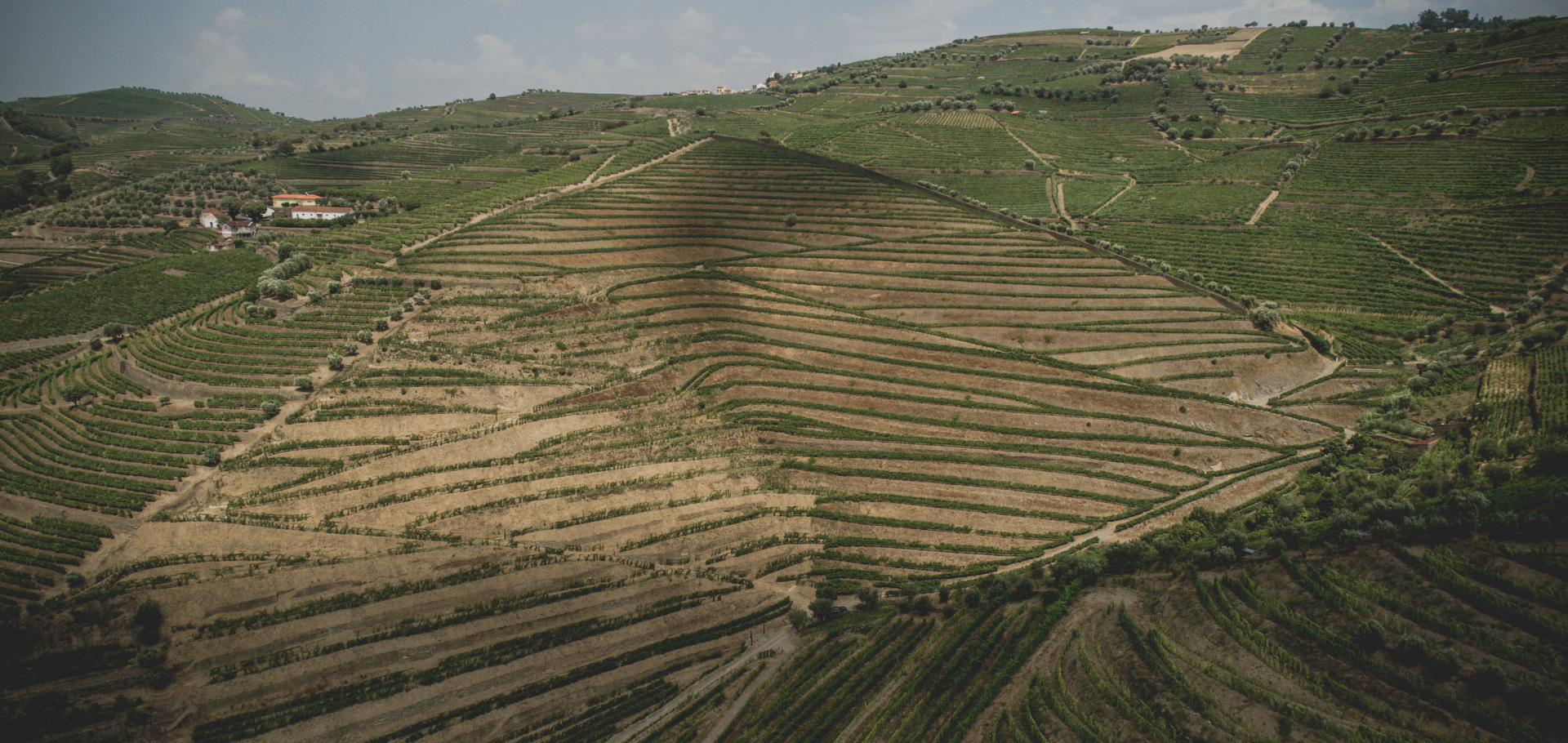 Quinta das Gregossas – Vinha Grande