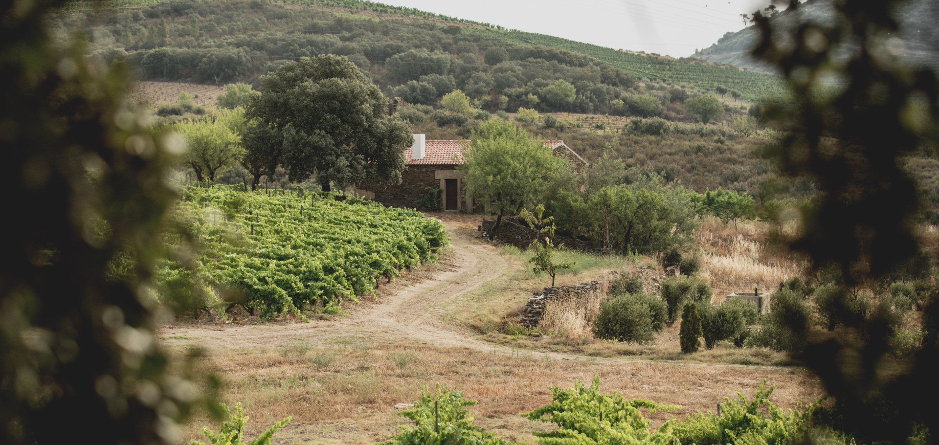 Quinta de Vale Cavalos