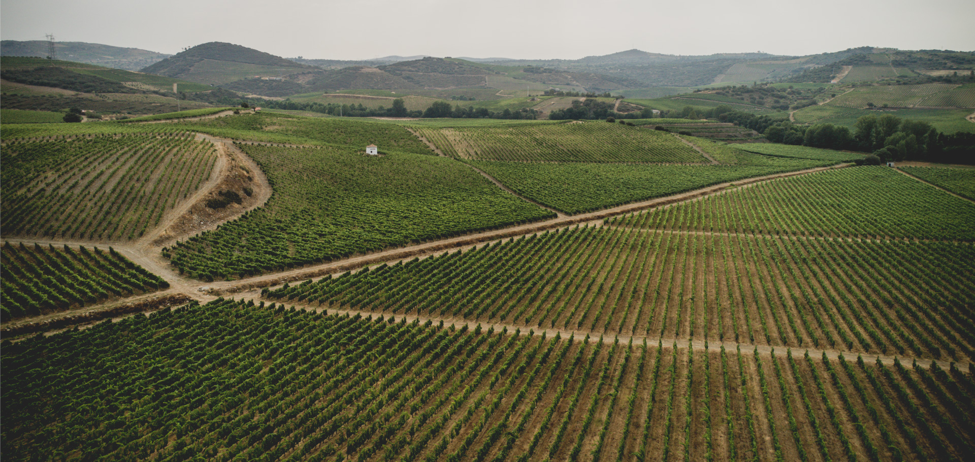 <p><span>Quinta do Chão do Pereiro</span></p>