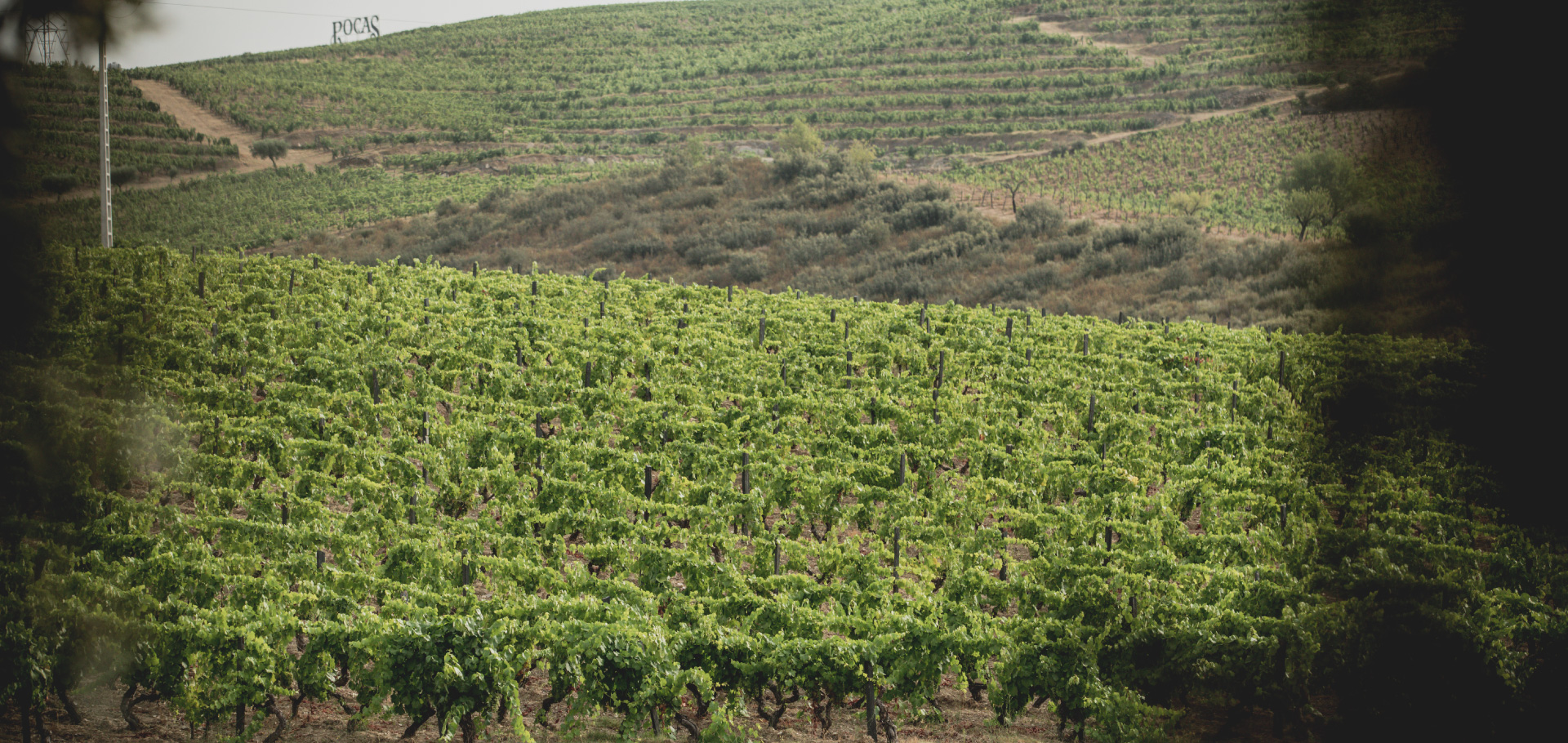 Quinta de Vale Cavalos