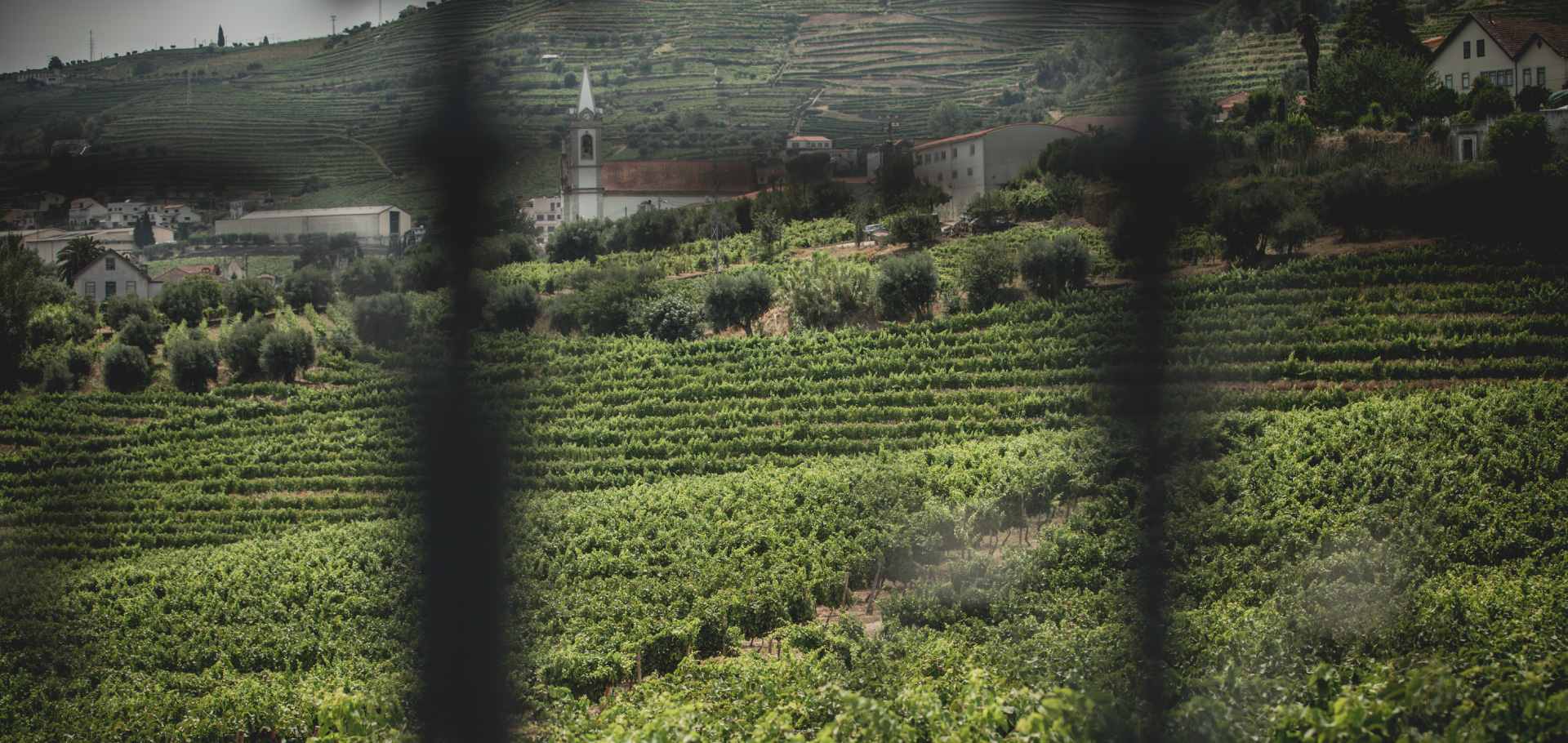 Quinta do Conde