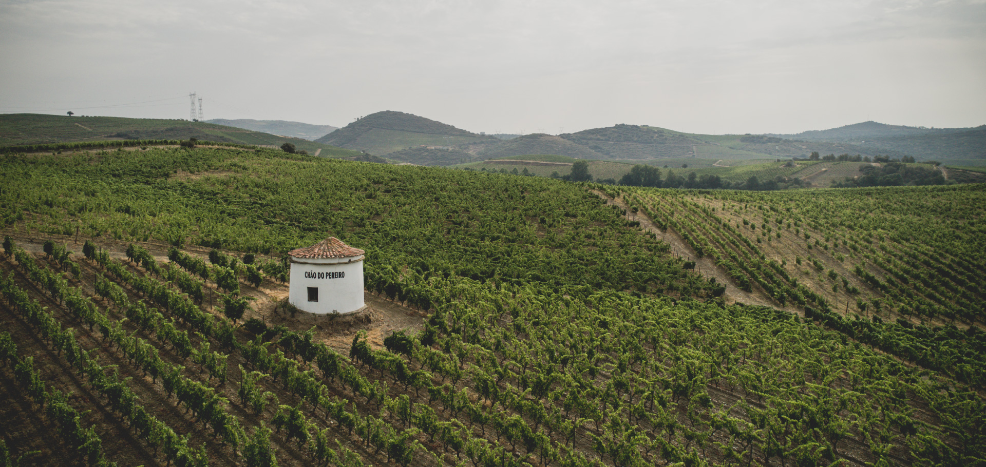 <p><span>Quinta do Chão do Pereiro</span></p>