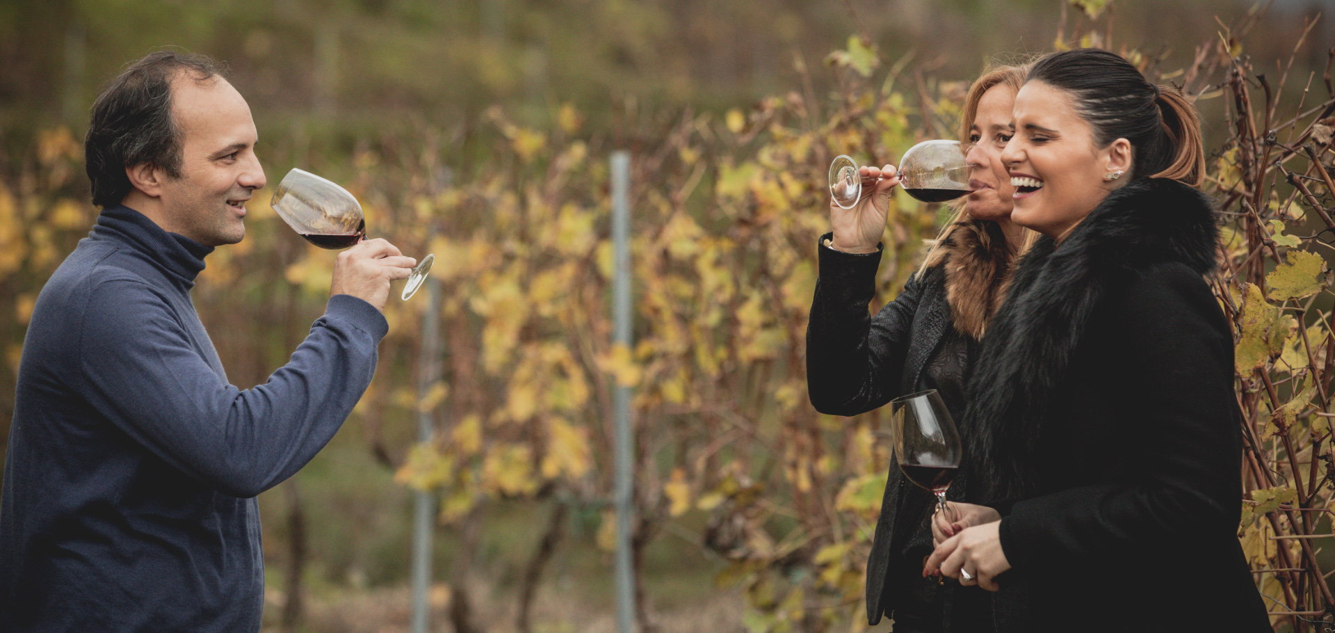 Vineyard Tours- Discovering the Grape Varieties