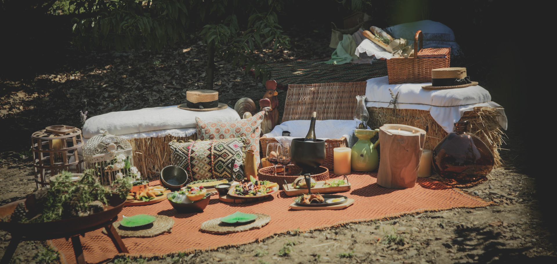 Picnics in the Vineyard